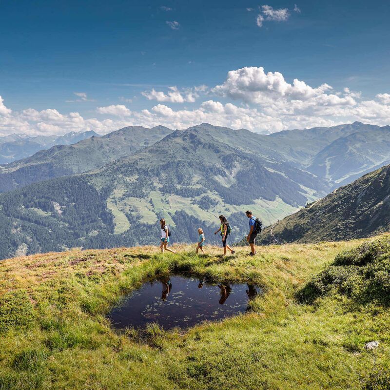 Een gezin wandelt in een hoogalpien landschap met groene berghellingen en panoramisch uitzicht op de Zillertaler Alpen