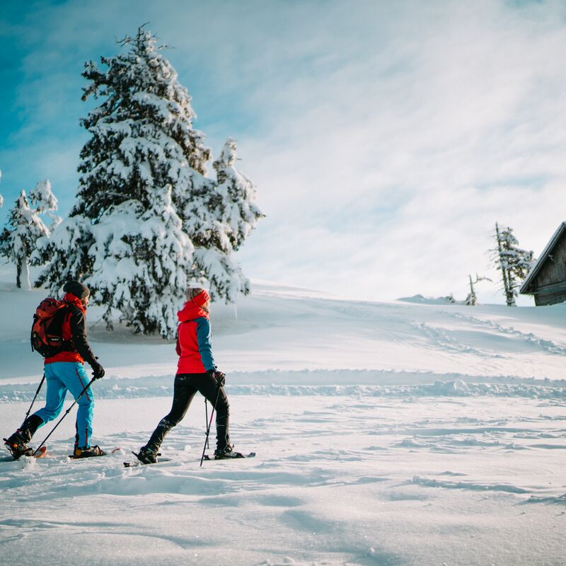 00000064205 Schneeschuhwandern im Naturpark Dobratsch Region Villach Tourismus GmbH Martin Hofmann j4smaqgec8w0nzp