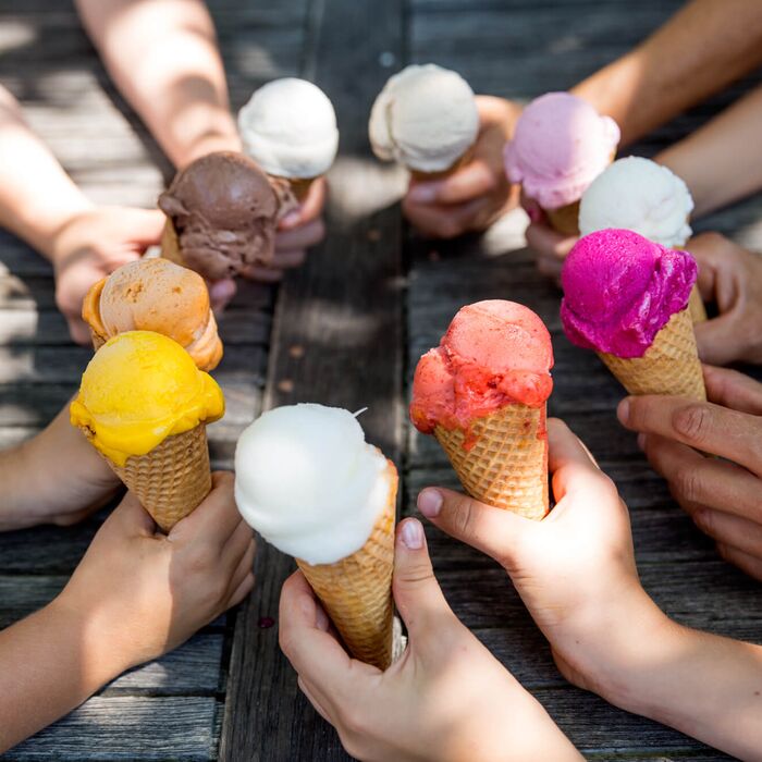  12 grenzerlebnis oesterreich italien sft 2017 lissis kuhles bauerneis 3  web 534ntr74cv8x68b