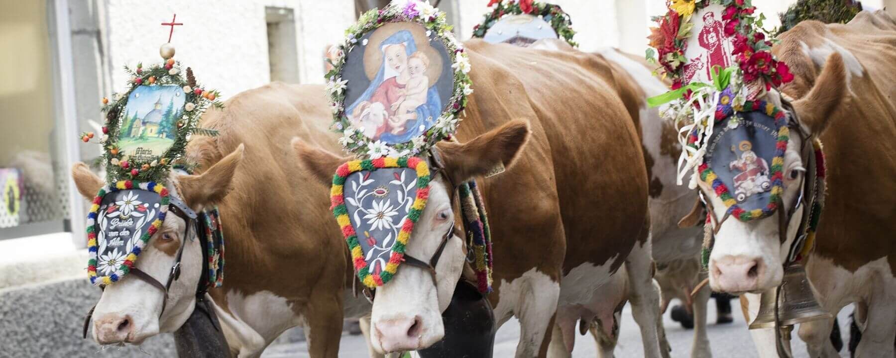 Decorated cows during the cattle drive through the centre of Rauris.