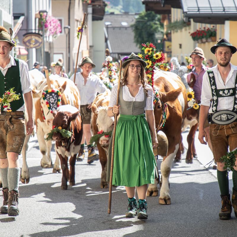 Kühe geschmückt mit Blumen und Menschen in Tracht beim Bauernherbst
