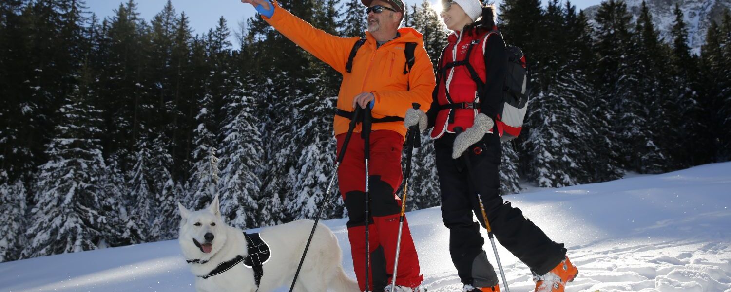 Skitour with dog