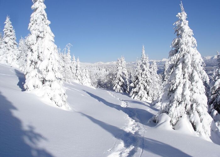 %28c%29%20Archiv%20Naturpark%20Zirbitzkogel Grebenzen%20%283%29 k5ra64ysmajyt5k