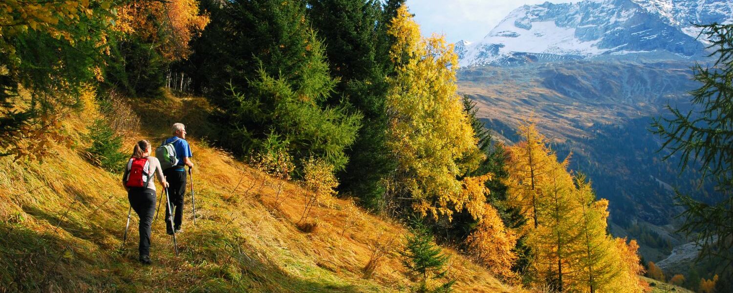 Wandern im Wipptal