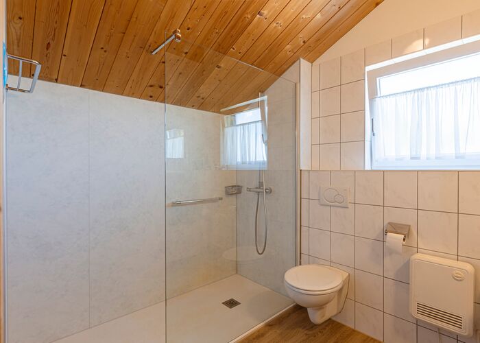 Badezimmer Alpendorf Dachstein West