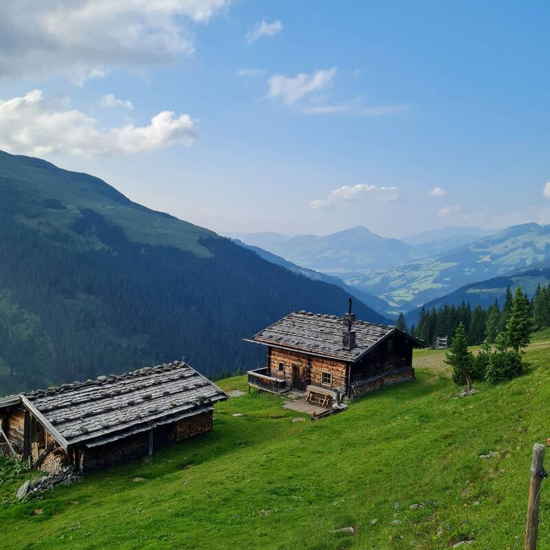 Alpine hut in the summer mountain pasture area in the Kitzbühel Alps
