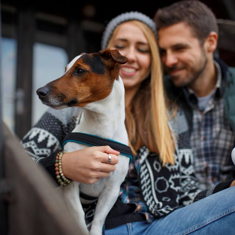 Vakantie met hond in een chalet ((c) istock-Milan Jovic)