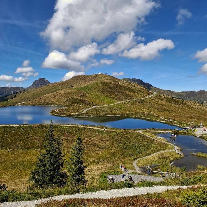 Eine malerische Aussicht auf den Speicherteich der Panoramabahn, umgeben von sanften Hügeln und blühender Natur.