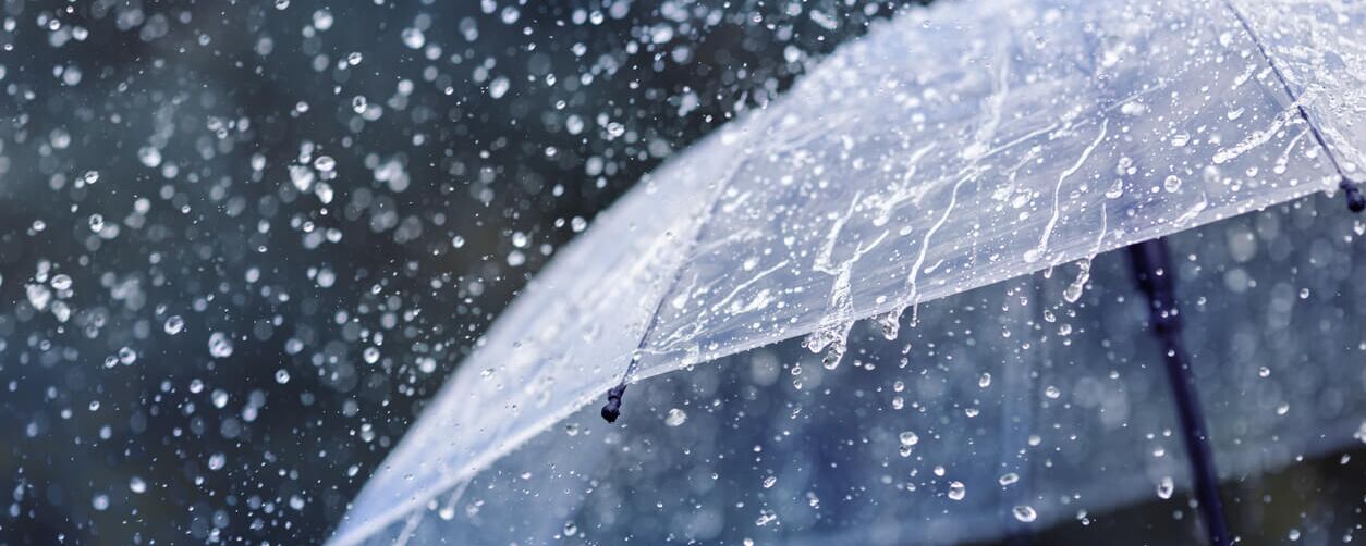 A transparent umbrella in the rain