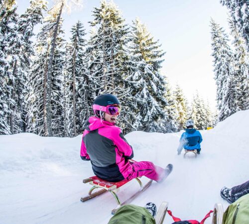 Rodeln   Zillertal, Tirol