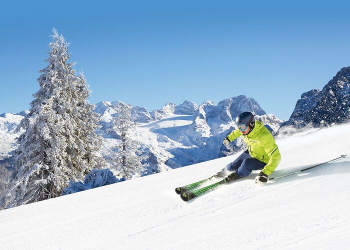 Skifahrer auf seiner Abfahrt mit Blick die verschneiten Berge und Bäume