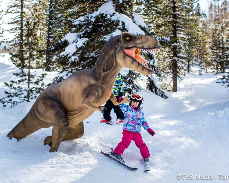 Family friendly skiing area Kreischberg (c) TVB Murau, Tom Lamm