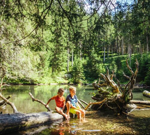 wandern%20mit%20familie%20waldteich%20raurisertal%28c%29slt 85834cf1