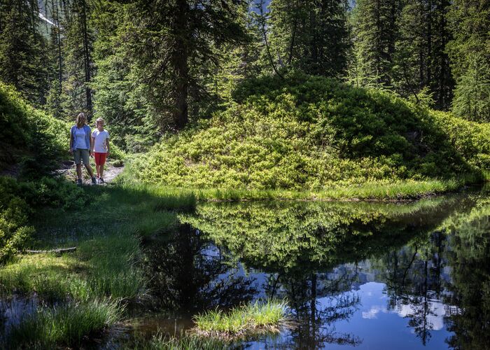 den rauriser urwald geniessen c florian bachmeier ec12ebd4 87dersnm0cp5gh6