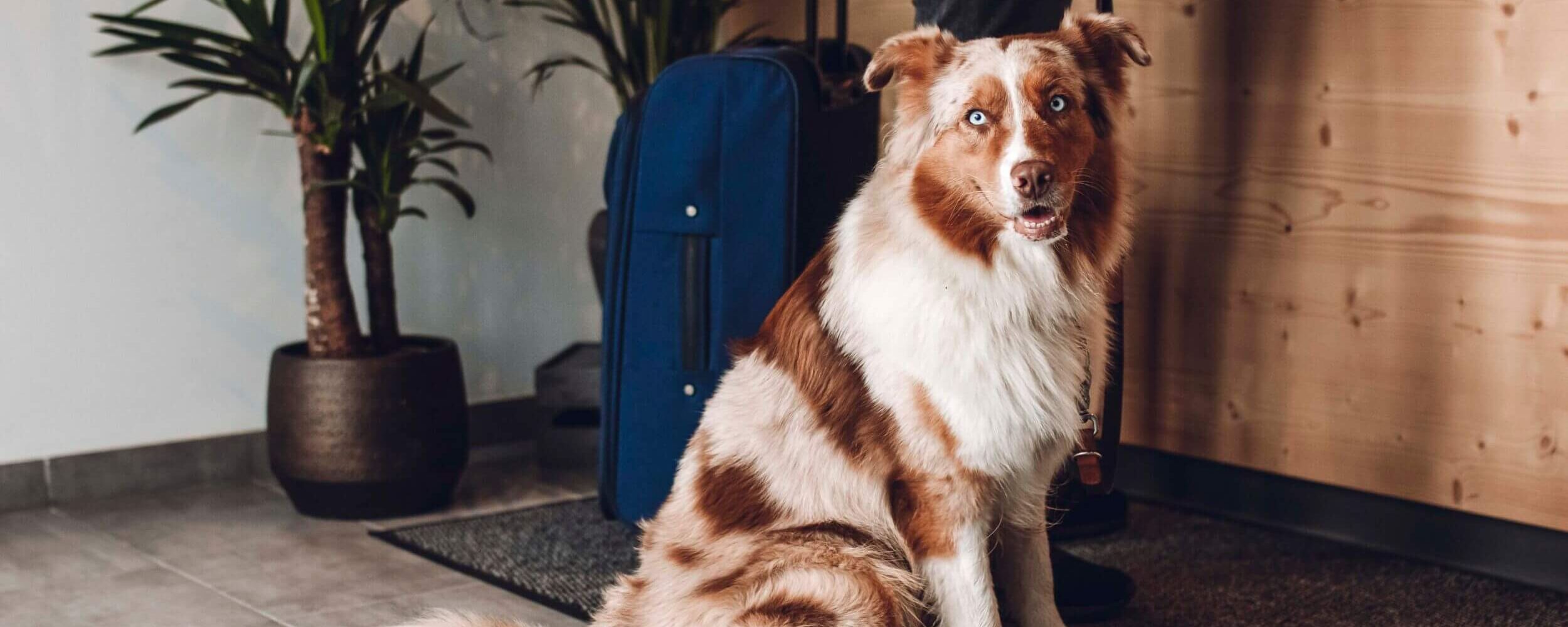 drivys adventures alps resorts 2305 48 t3tmcv3wm011g4f