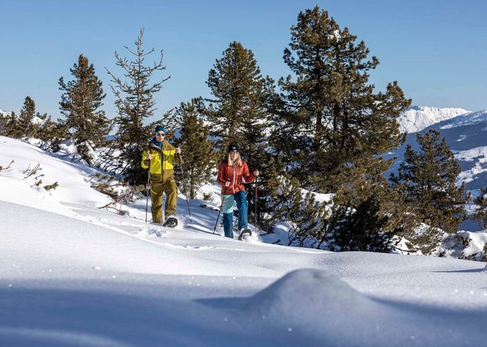 zillertal penken schneeschuhwandern c tvb mayrhofen hippach flo smith n5jaakh45deqzqm