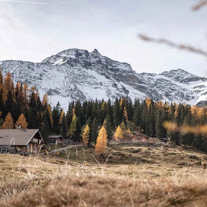 csr raurisertal fta 1021 11 w0pq9r3eqfcwb6t