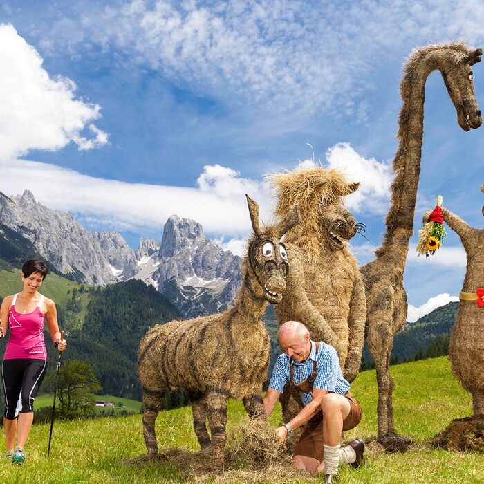 Heuarten am Annaberg mit Kreaturen Ausgestellt