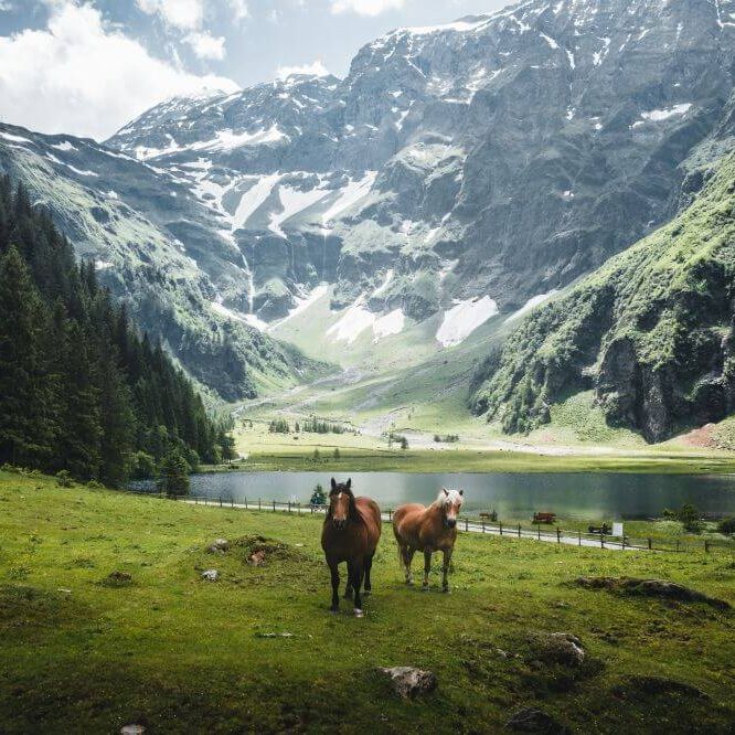 hintersee c daniel kogler mittersillplus 3 b81pktdpaykq4df