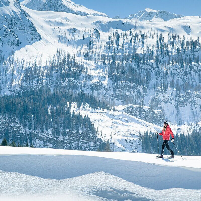 schneeschuhanderung c harald habersatter gnadenalm tvb obertauern shutterstock pixabay mtm4xp55pfssc0y