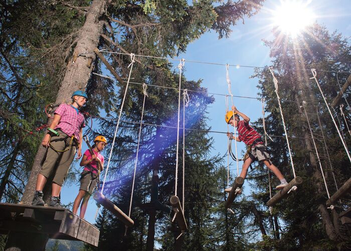 00000011264 zc9qa6tkpnt3t1f