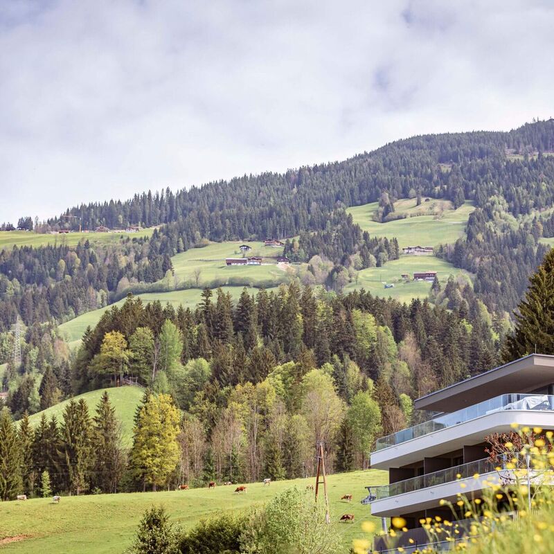 bsh fta 2404 02 dtb5ysrzvv33n87