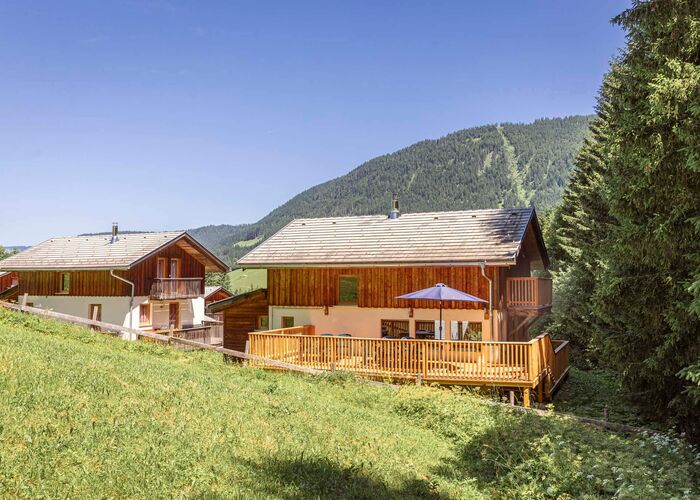 Alpendorf Dachstein West