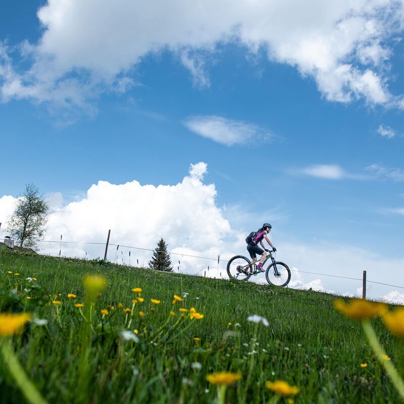 mountainbike fruehling kitzbuehel c kitzbuehel tourismus min z1e6038t4s4jp0y