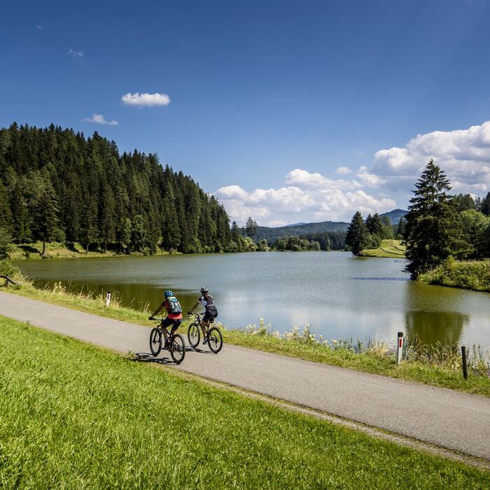 Cyclists enjoying a ride next to a pond in Zirbitzkogel Grebenzen Nature Park