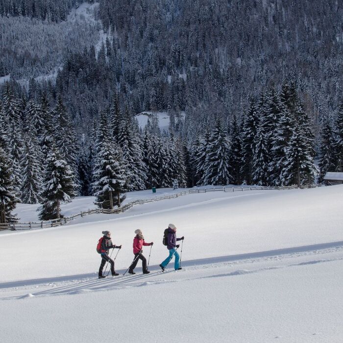 Winterwandern %28c%29%20TVB%20Wipptal bsj09b0zkzp8c1d