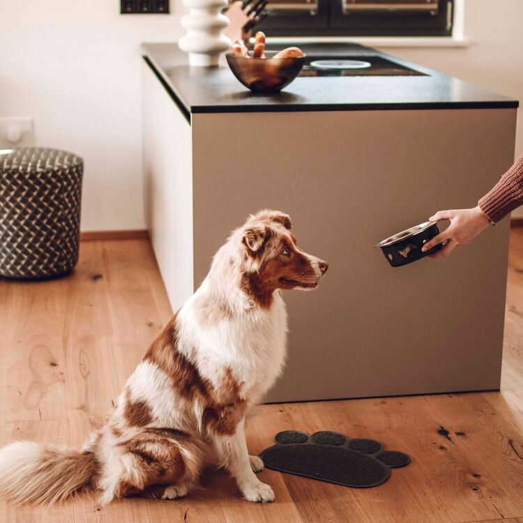 Hund im Chalet der Tauern Lodges Uttendorf – maximale Flexibilität.