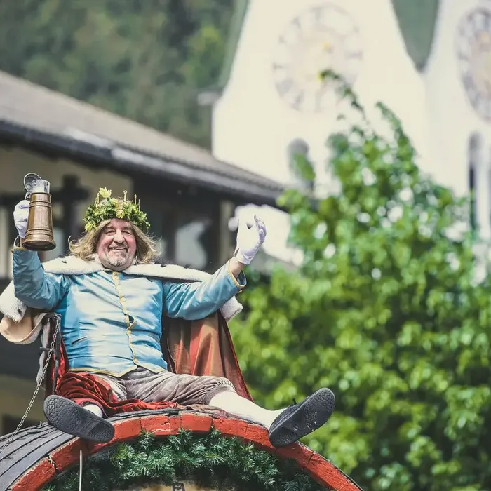 gauder fest zellamziller c zillertalarena d225bzy32cct6cy