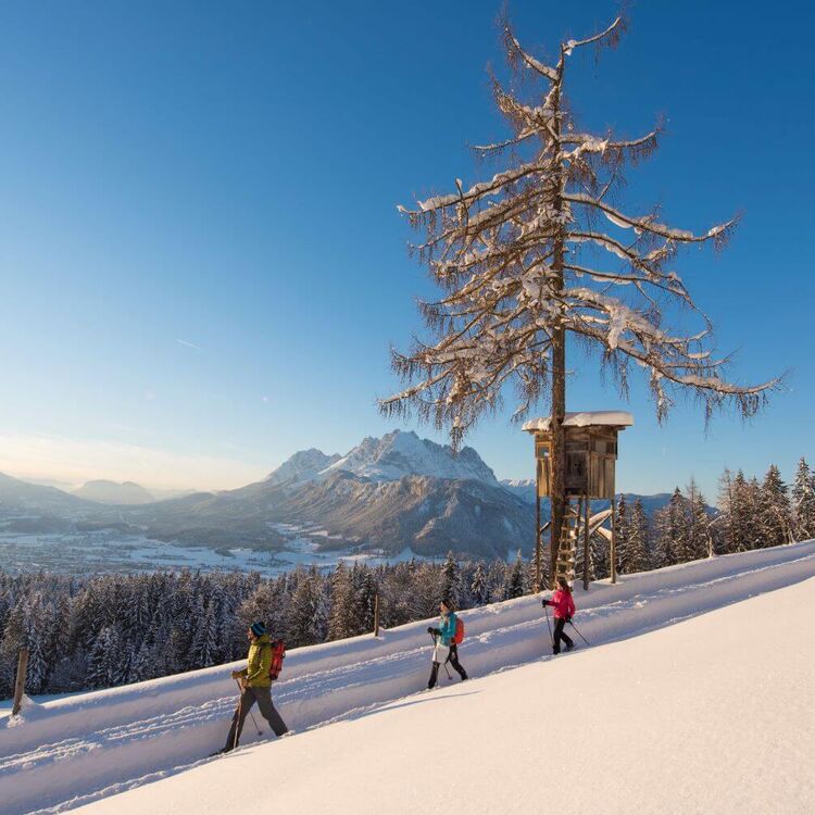 View of the Wilder Kaiser during a snowshoe hike in the Kitzbühel Alps.