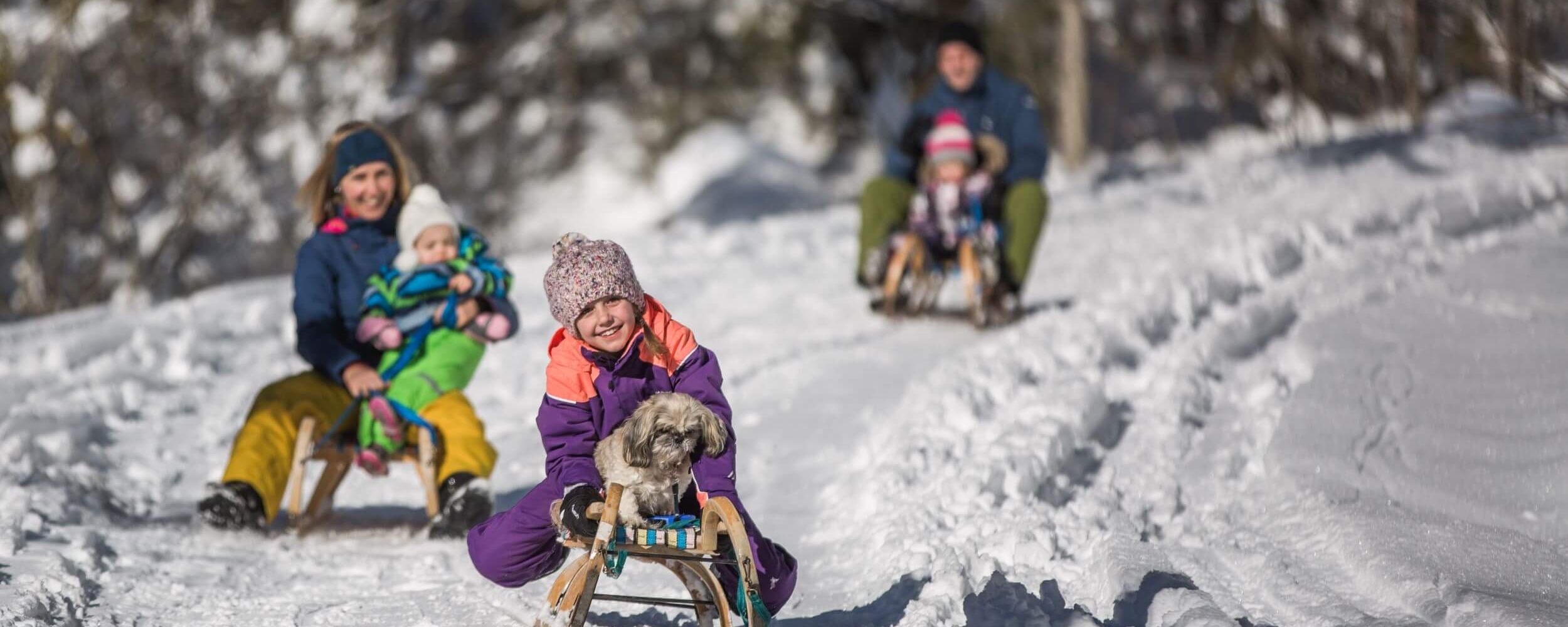 Kind mit Hund auf dem Schlitten beim Rodeln