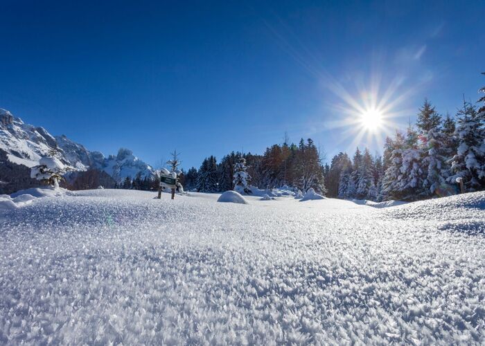 %28c%29 tvb annaberg gg5yhmbttgcgbev