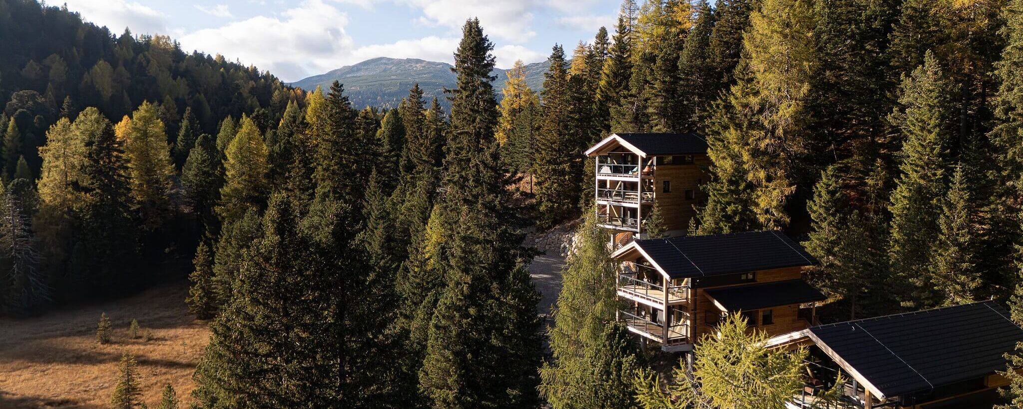 Naturchalets Turracher Höhe zwischen Nadelbäumen mit Blick auf die umliegende Berglandschaft.