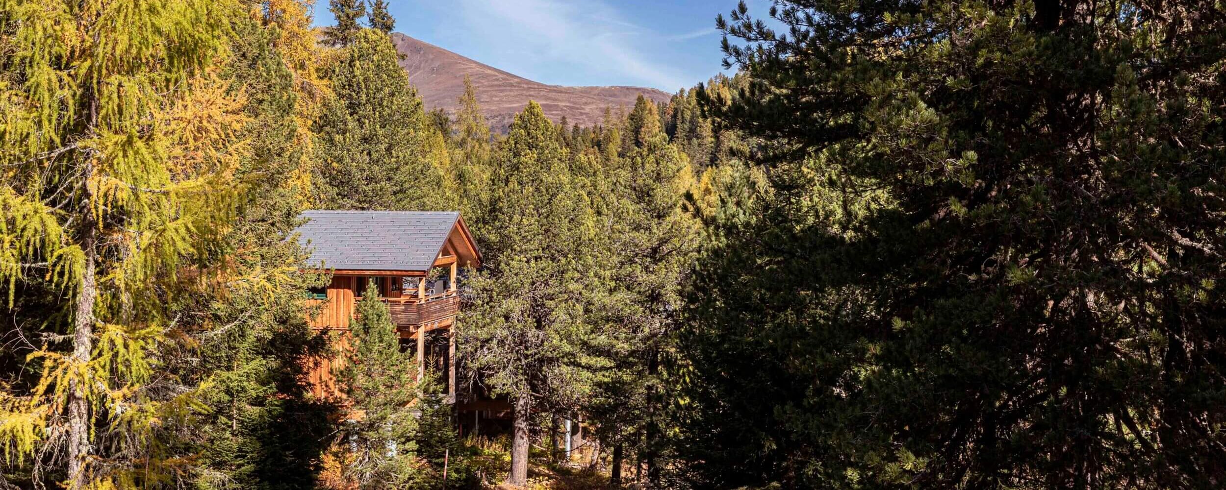 Ferienhaus im Zirbenwald im Herbst, Turracher Höhe