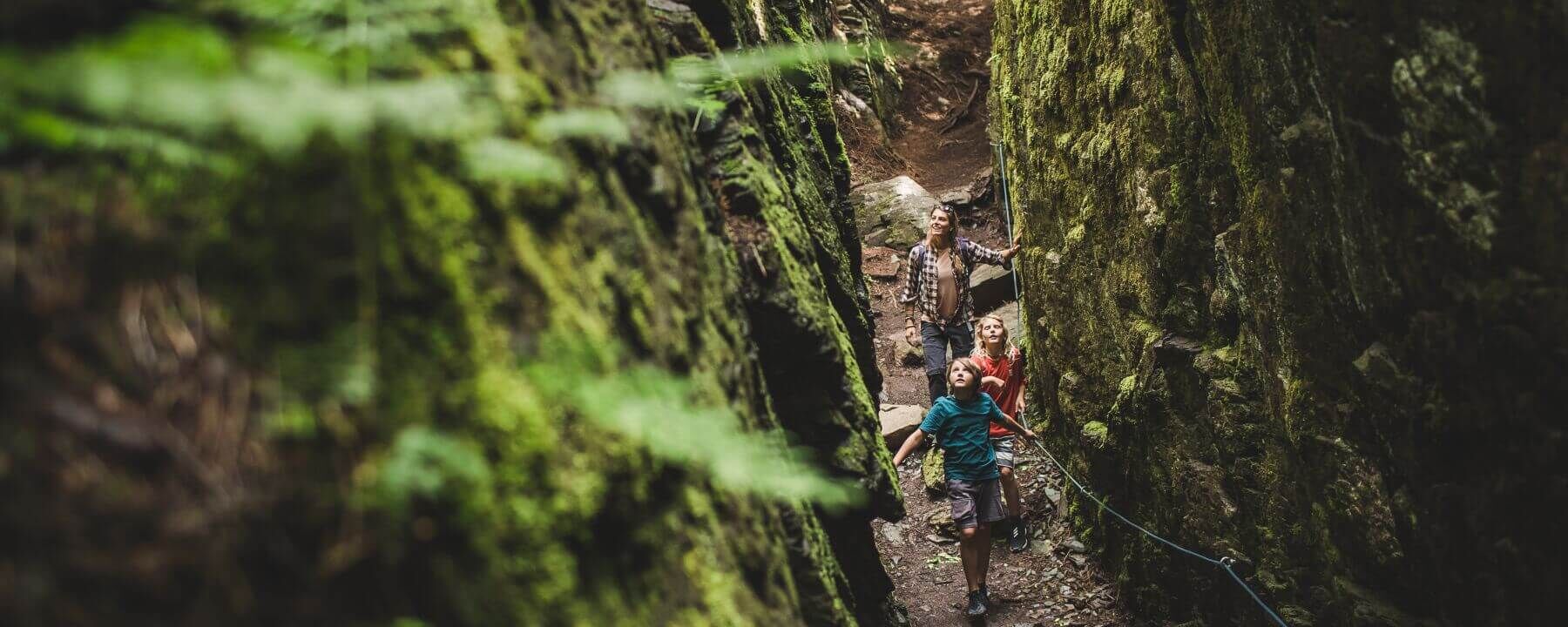Kodok Mountain   Saalbach