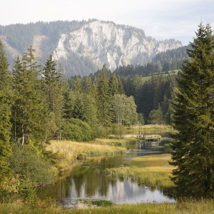 feriendorf hohentauern bypwy7msgswnhqh