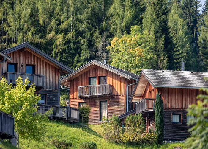 Alpendorf Dachstein West by ALPS RESORTS