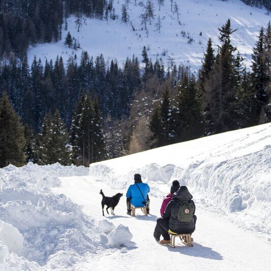 lachtal rodeln  c holzwelt murau tom lamm lachtal 10 23235684 njf7jyc1wqa1kak