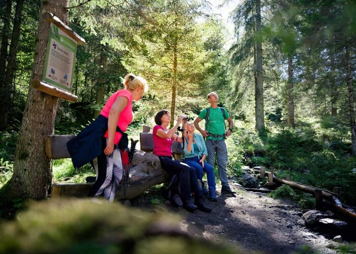 Instaldersmaragde in Hohentauern with people to see