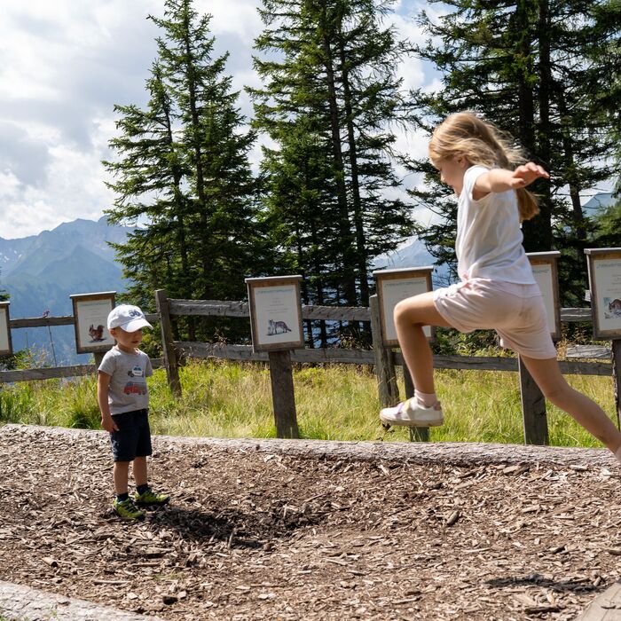 weitsprung ueben am tillys waldpfad c lukas pilz tvb rauris tkpzx2nq7k9yexn