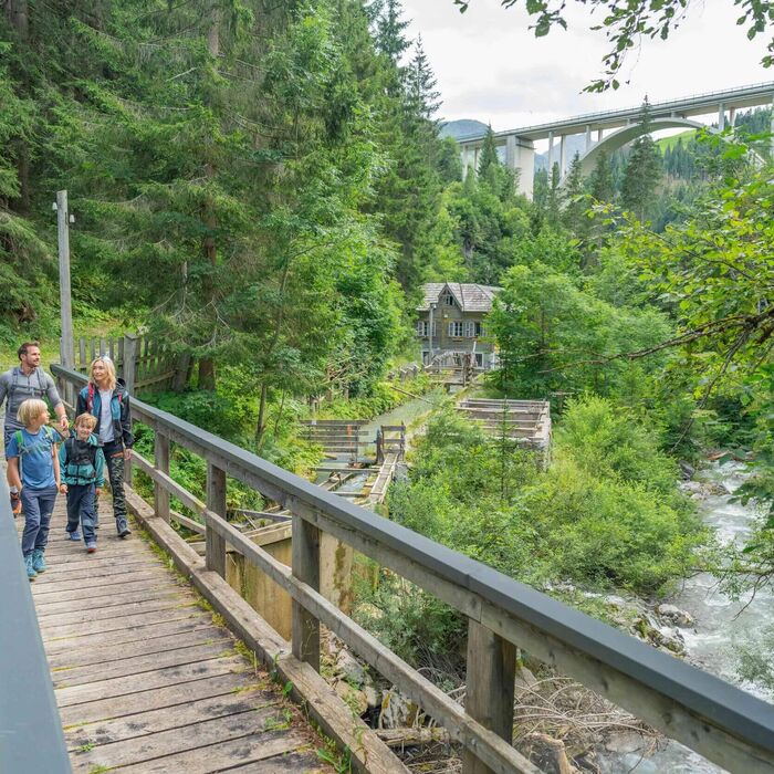  22 natur abkuehlung abseits der seen hoefe trail 2023 kaernten 8284 jpg web 1 canfhd1y1t5554p