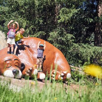 Murmlitrail © Kabelbanen Komperdell Christian Waldegger