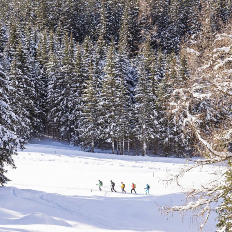 Group snowshoe hiking in Kolm Saigurn in the Rauris Valley.