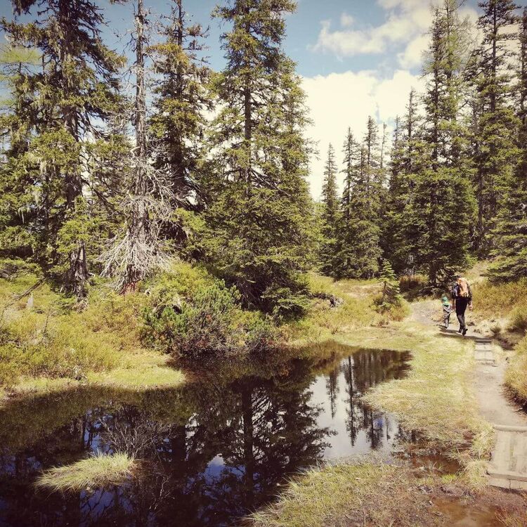 urwald familie 1kgwaj8vmaj4zqr