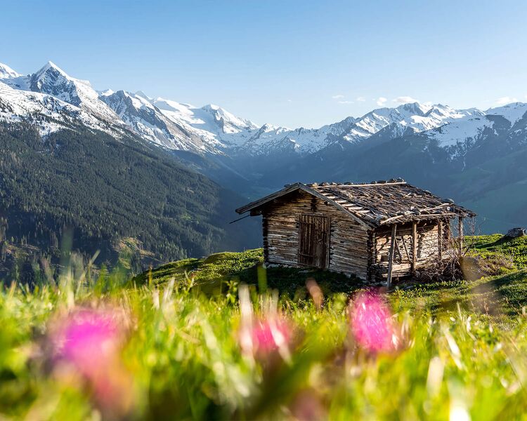 Almhütte in den Zillertaler Alpen im Sommer.