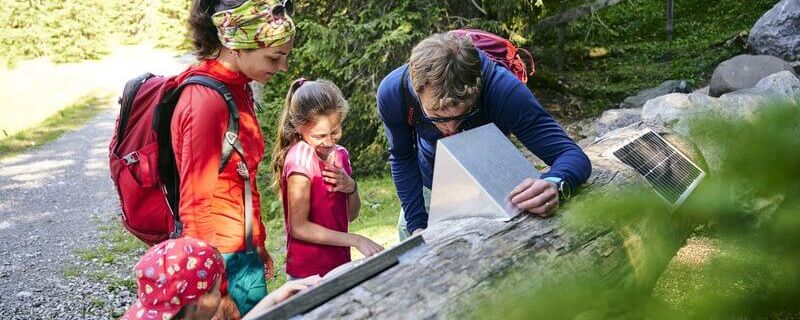 Eine Familie entdeckt den Natursprünge Weg im Brandnertal und erforscht spannende Informationen an einem Baumstamm. | © Alex Kaiser