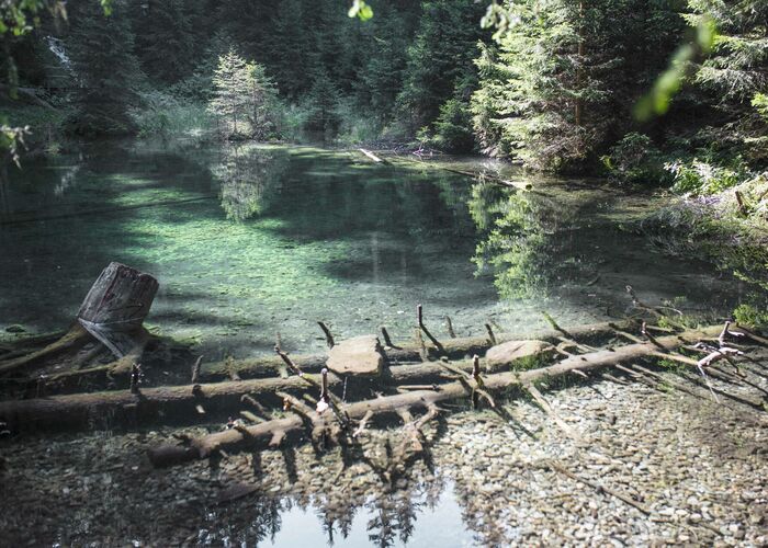 fb rauris sommer 02 26 von 93 a5d93f09 5jgyzj6bbmpg18v